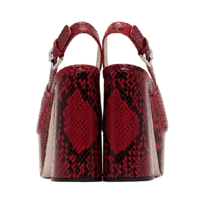 Shop Miu Miu Red Python Print Sandals