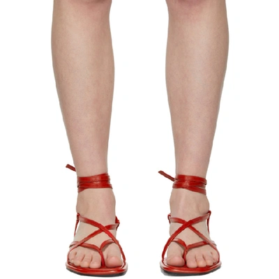 Shop Proenza Schouler Red Strappy Flat Sandals In 304 Fiesta