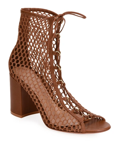 Shop Gianvito Rossi Fishnet Lace-up Booties In Brown