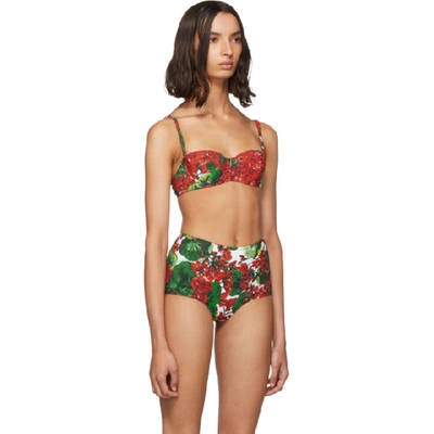 Shop Dolce & Gabbana Dolce And Gabbana Red Geranium Cup Bikini Top In Hav03 Red