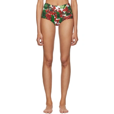 Shop Dolce & Gabbana Dolce And Gabbana Red And Green Geraniumhigh-waisted Bikini Bottoms In Hav03 Red