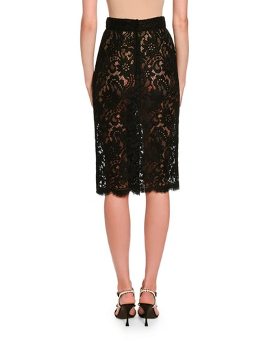 Shop Dolce & Gabbana Lace Pencil Skirt In Black