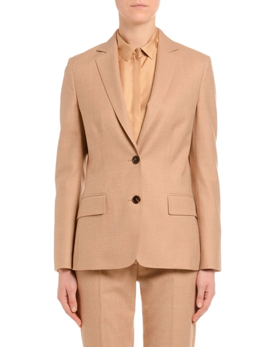 Shop Agnona Wool Flannel Single-breasted Jacket In Camel