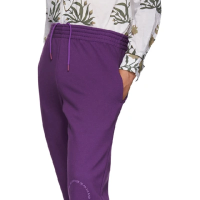 Shop Martine Rose Purple Slim Track Pants