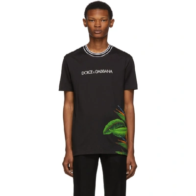 Shop Dolce & Gabbana Black Bird Of Paradise T-shirt In Multicolored