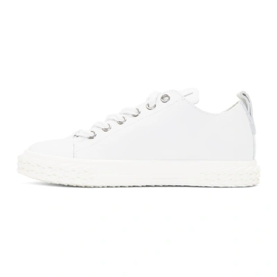 Shop Giuseppe Zanotti White Blabber Low-top Sneakers In Moxi Bianco