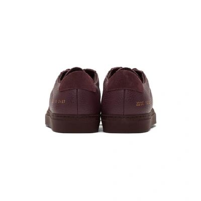 Shop Common Projects Burgundy Bball Premium Low Sneakers In 3497 Bordea