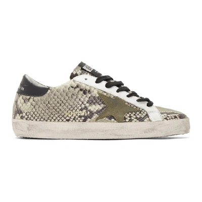 Shop Golden Goose Beige And Black Snake Superstar Sneakers In Natsnakegrn