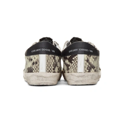 Shop Golden Goose Beige And Black Snake Superstar Sneakers In Natsnakegrn