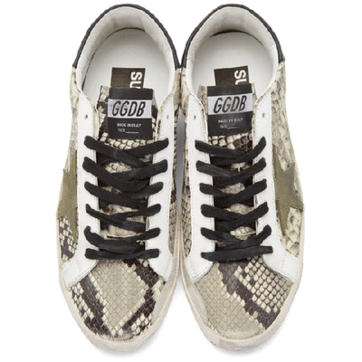 Shop Golden Goose Beige And Black Snake Superstar Sneakers In Natsnakegrn