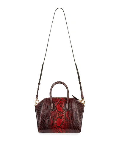 Shop Givenchy Antigona Mini Shiny Python Satchel Bag In Red