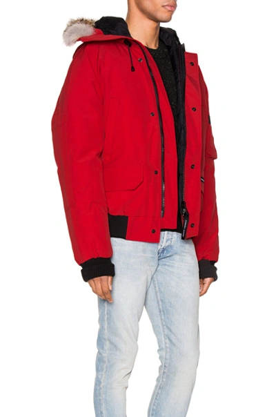 Shop Canada Goose Chilliwack Bomber In Red