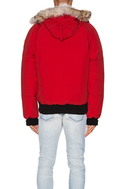 Shop Canada Goose Chilliwack Bomber In Red