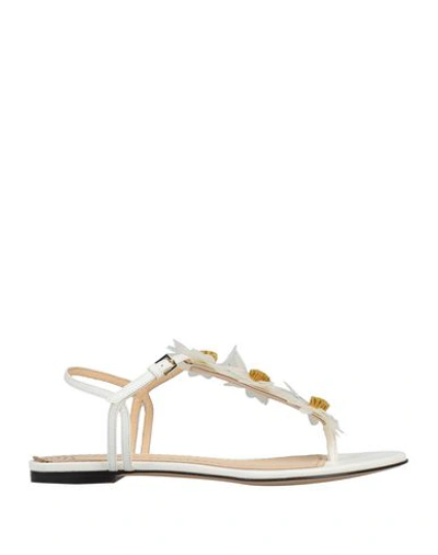 Shop Charlotte Olympia Flip Flops In White