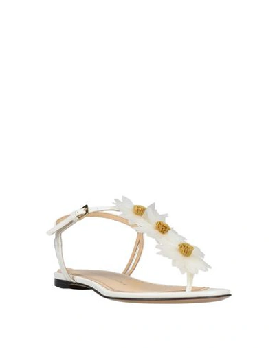 Shop Charlotte Olympia Flip Flops In White