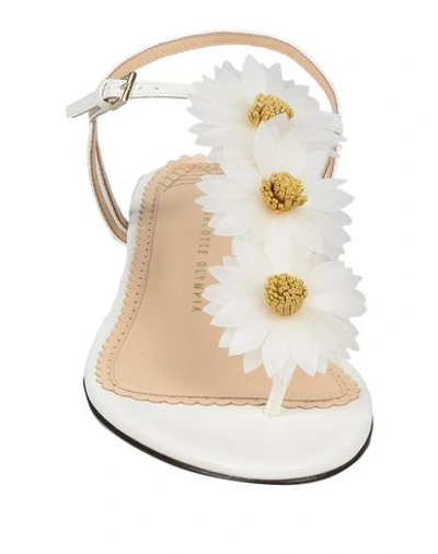 Shop Charlotte Olympia Flip Flops In White