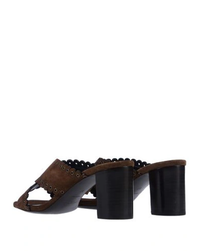 Shop Saint Laurent Woman Sandals Cocoa Size 7 Leather In Brown
