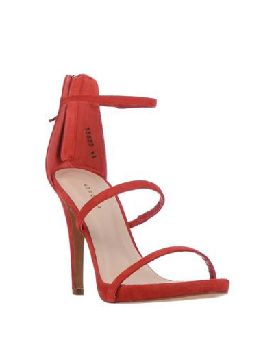 Shop Intropia Sandals In Red