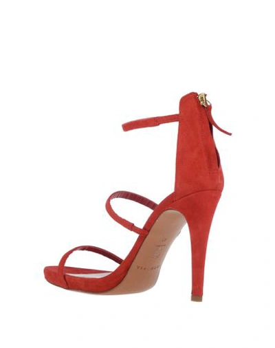 Shop Intropia Sandals In Red