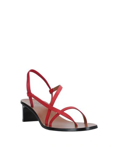 Shop Atp Atelier Woman Thong Sandal Red Size 11 Cowhide
