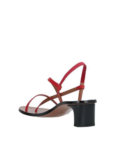 Shop Atp Atelier Woman Thong Sandal Red Size 11 Cowhide
