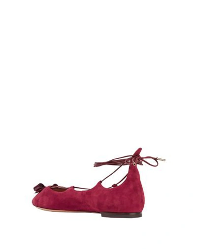 Shop Ferragamo Ballet Flats In Maroon