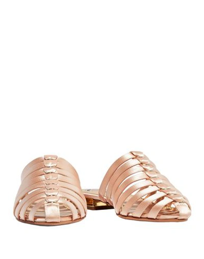 Shop Charlotte Olympia Mules & Clogs In Light Pink