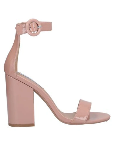 Shop Steve Madden Sandals In Pink