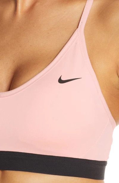 Shop Nike Indy Sports Bra In Echo Pink/ Black