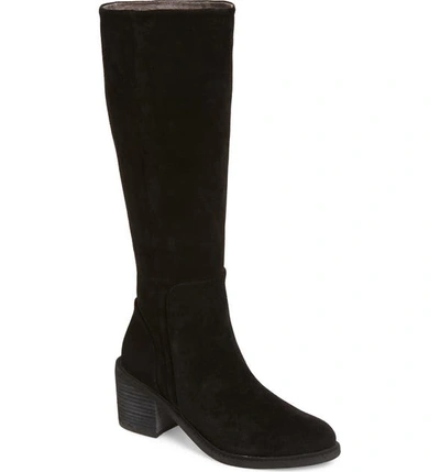 Shop Band Of Gypsies Avon Tall Boot In Black Suede