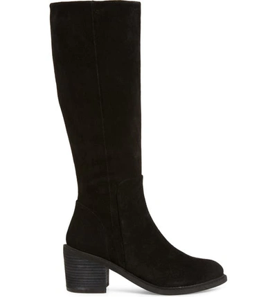Shop Band Of Gypsies Avon Tall Boot In Black Suede