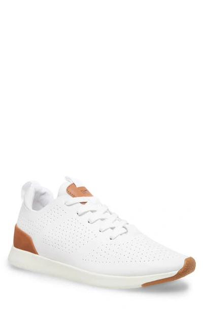 Shop Steve Madden Royale Sneaker In White