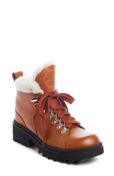 Shop Chloé Bella Genuine Shearling Lined Hiking Boot In Canyon Brown