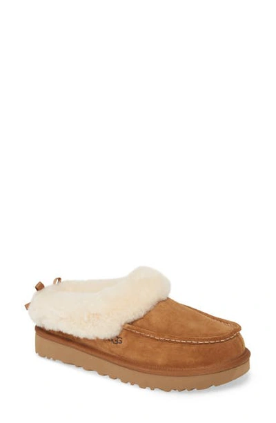 Shop Ugg Grove Genuine Shearling Trim Slipper In Chestnut Suede