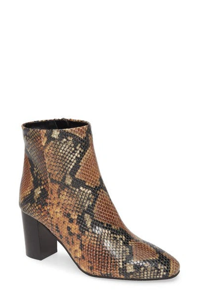 Shop Aquatalia Florita Snake Print Weatherproof Bootie In Cognac/ Black Snake Print