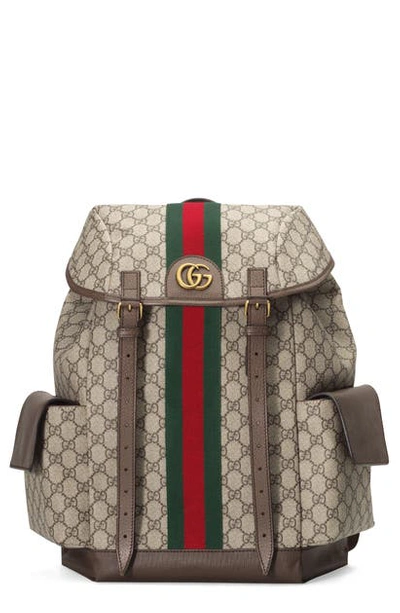 Shop Gucci Ophidia Medium Gg Supreme Canvas Backpack In Brown