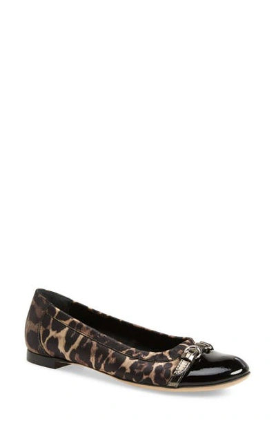 Shop Agl Attilio Giusti Leombruni Cap Toe Ballet Flat In Leopard