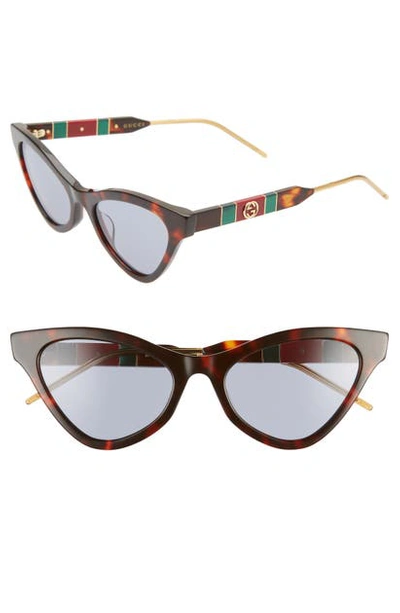 Shop Gucci 55mm Cat Eye Sunglasses In Havana/ Blue Solid