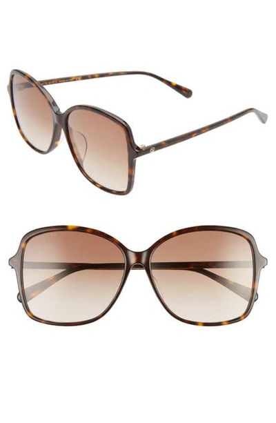 Shop Gucci 60mm Rectangular Sunglasses In Havana/ Brown Gradient