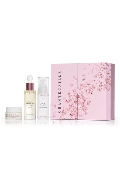 Shop Chantecaille Radiance Brightening Essentials Set