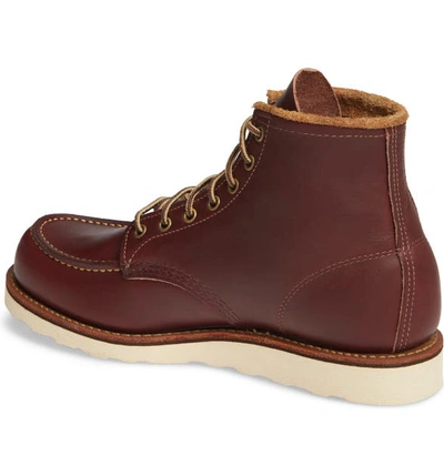 Shop Red Wing 6 Inch Moc Toe Boot In Oxblood Mesa Leather