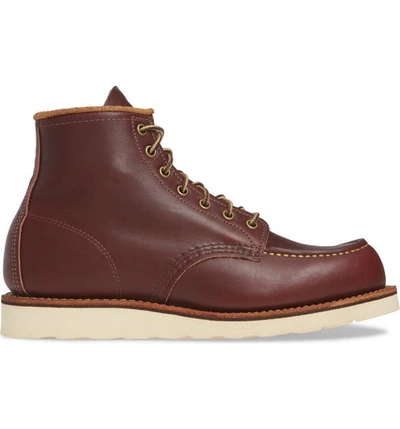 Shop Red Wing 6 Inch Moc Toe Boot In Oxblood Mesa Leather