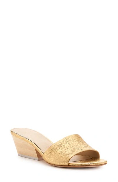 Shop Botkier Carlie Slide Sandal In Distressed Gold Leather