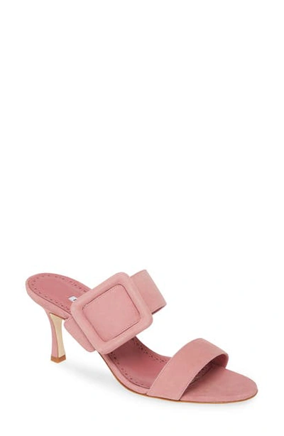 Shop Manolo Blahnik Gable Buckle Slide Sandal In Rose Pink Suede