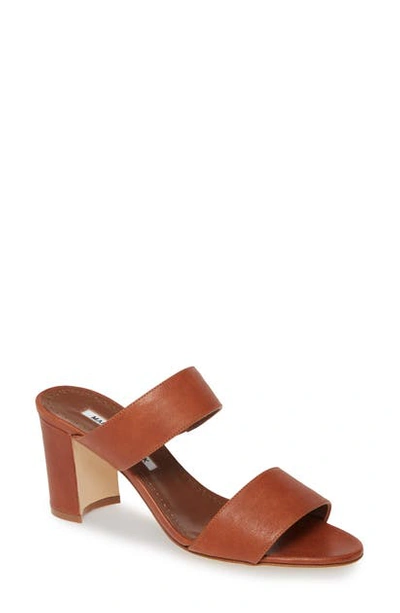 Shop Manolo Blahnik Kalita Strappy Slide Sandal In Tan Leather