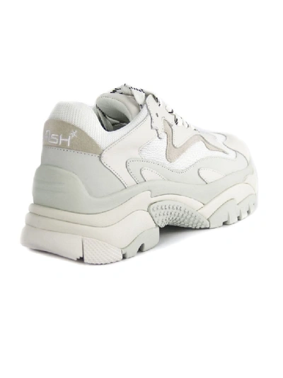 Shop Ash Sneakers