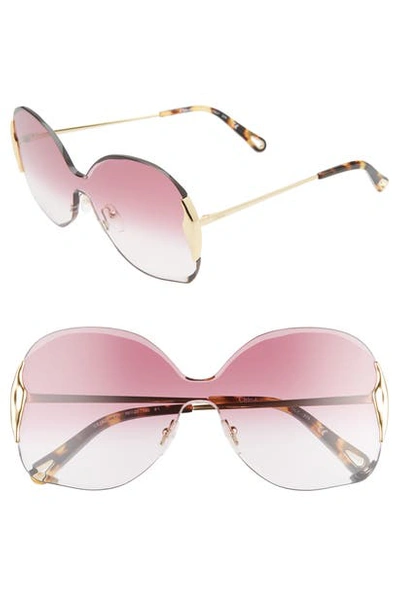 Shop Chloé Curtis 59mm Butterfly Shield Sunglasses In Gold/ Gradient Purple