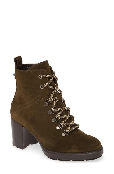 Shop Aquatalia Ihana Water Resistant Lace-up Boot In Herb