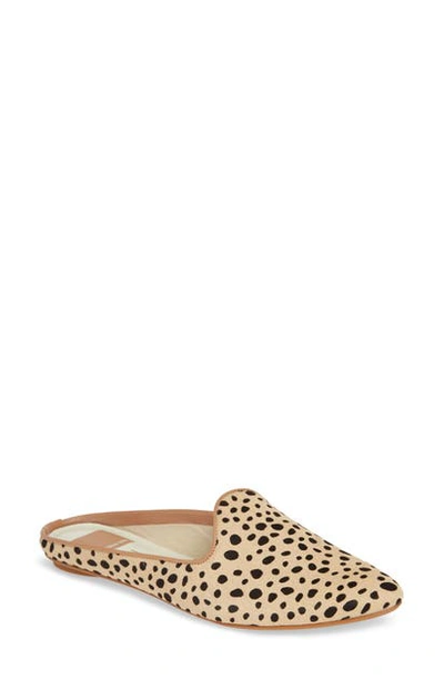 Shop Dolce Vita Grant Woven Flat Mule In Leopard Print Calf Hair