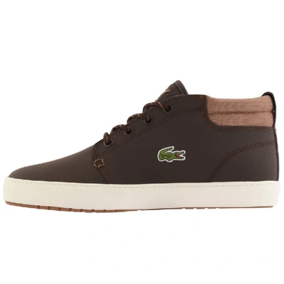 Shop Lacoste Ampthill Mid Trainers Brown
